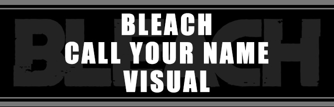 BLEACH CALL YOUR NAME VISUAL