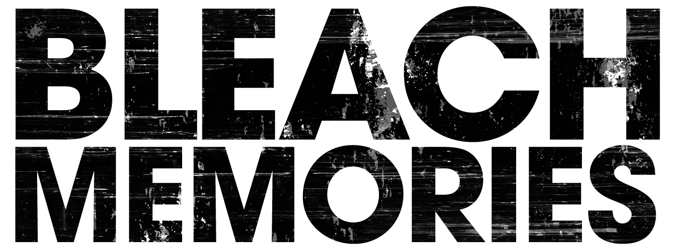 BLEACH MEMORIES
